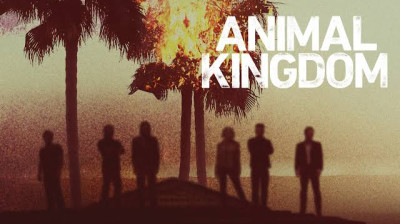 ❦ Animal Kingdom - Temporada 01 ❦