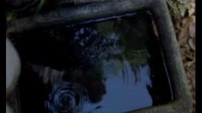 Dellamorte Dellamore  (1994)