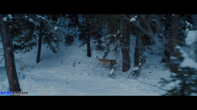 Depois Daquela  Montanha...