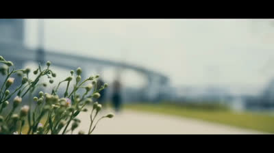 R3v1val-sub español