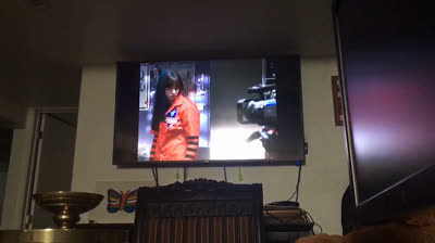 The Sisterhood of the Traveling Pants (2005 DVD) Full-Screen