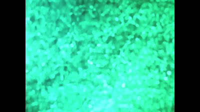 Jeeg robot d'acciaio epi 20 costretto a battersi